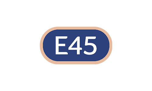 E45 Master Logo